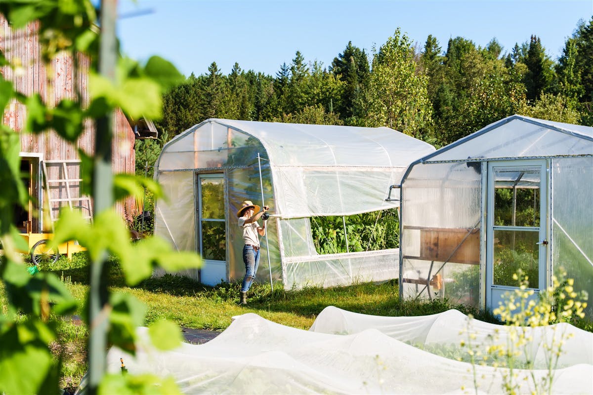 Les côtés ouvrants permettent une ventilation rapide et efficace de toute la serre et permet d'éviter qu'elle ne surchauffe.