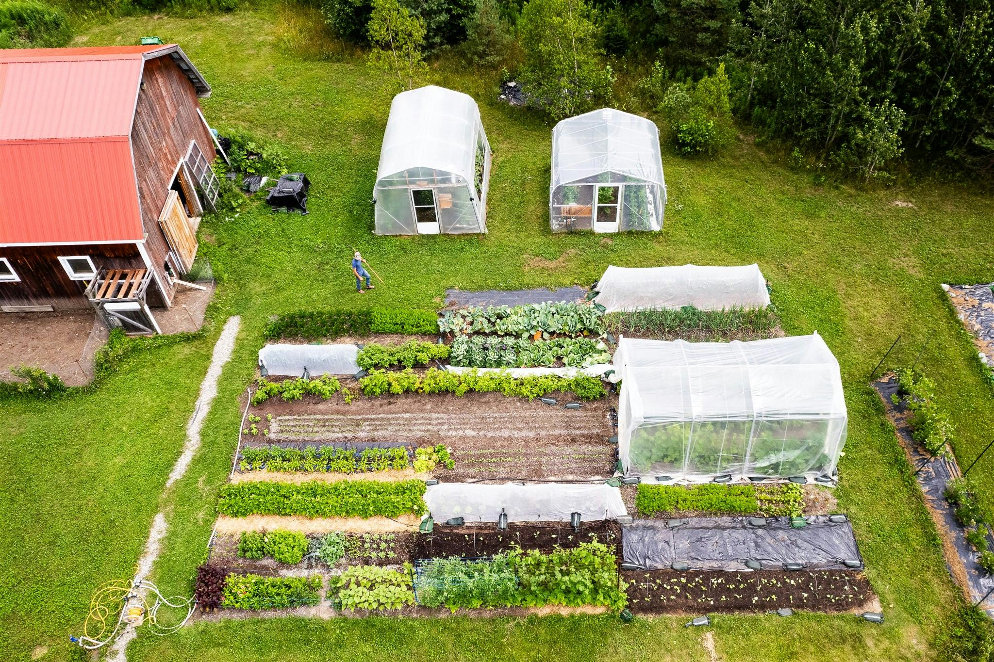 Potager - Académie Potagère