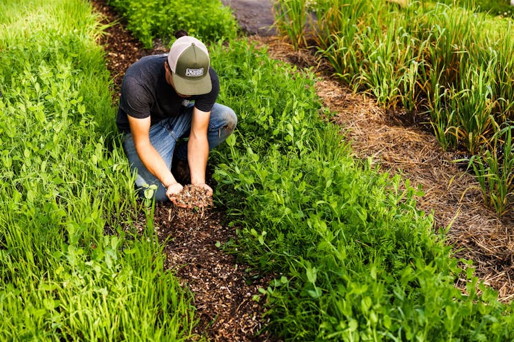 Comment le nourrir, le protéger et le couvrir pour obtenir un sol fertile et durable.
