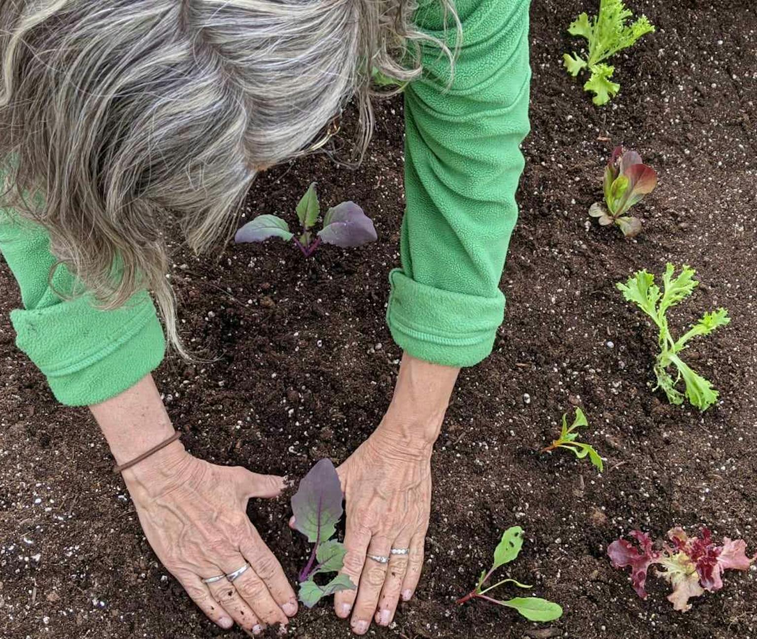Trucs jardinage pour débutants
