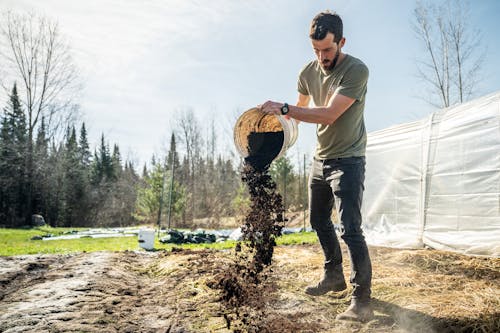 Amendement biologique jardin