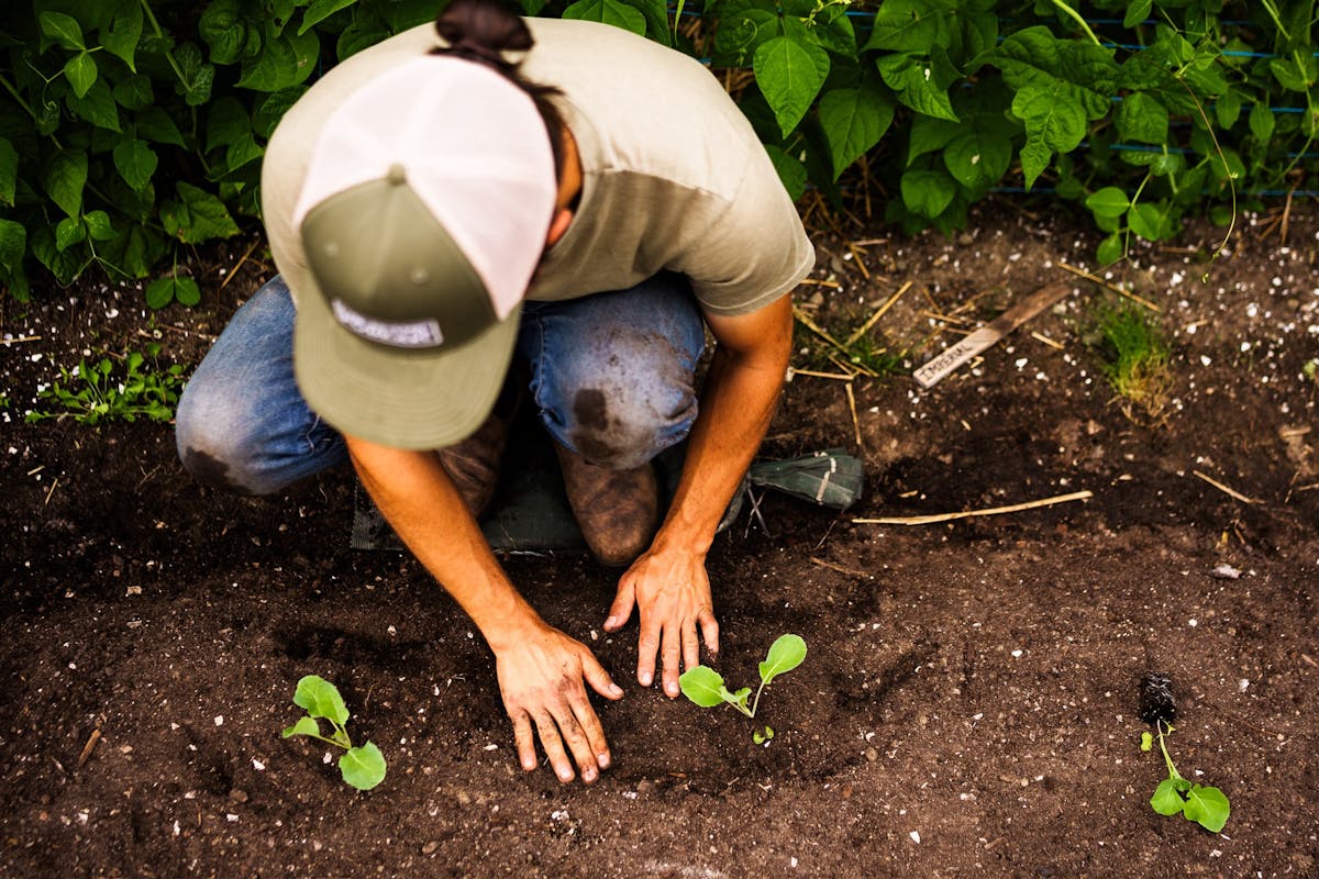 Le plaisir se trouve dans la diversité des plantes à cultiver au jardin potager!