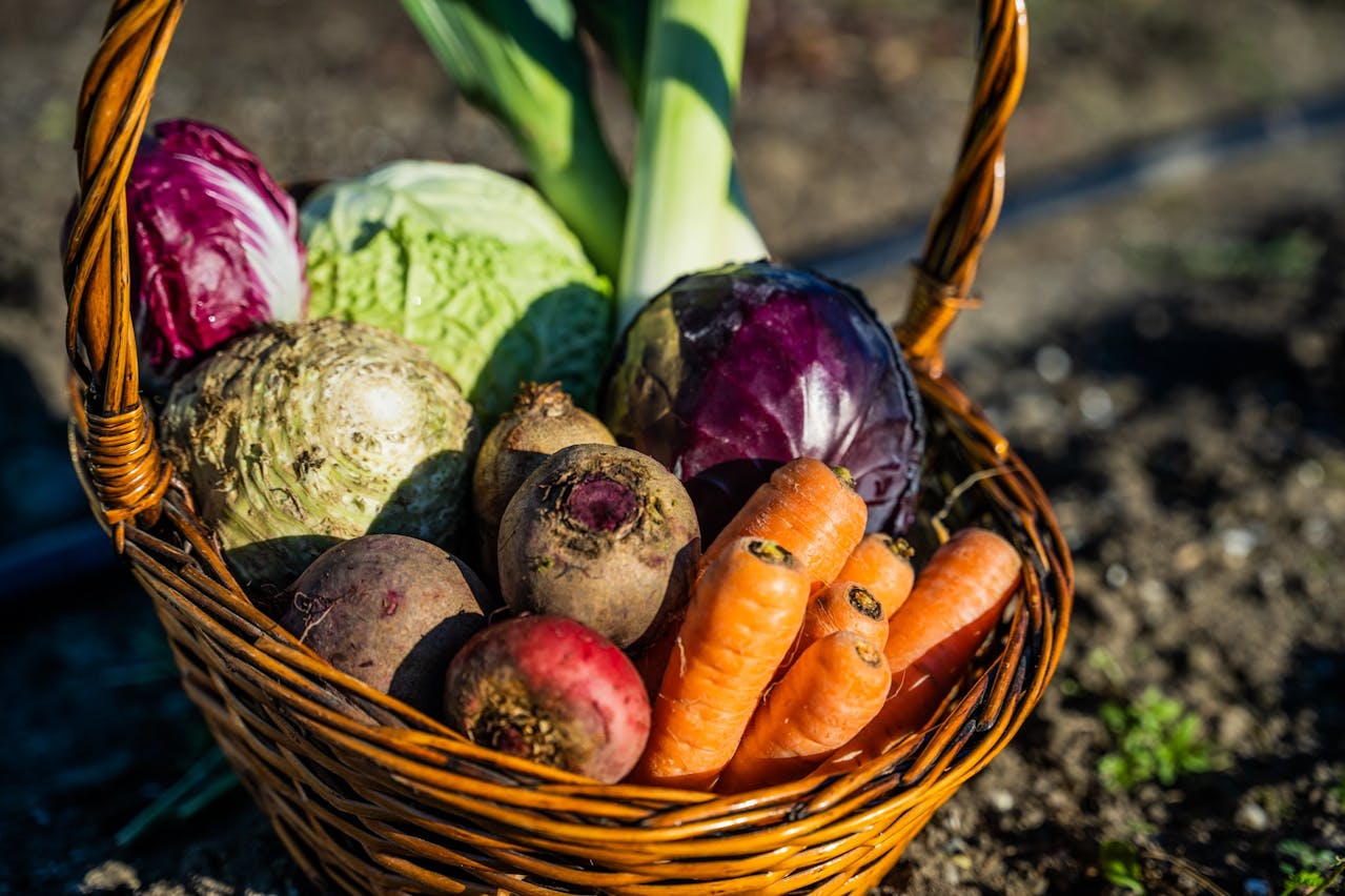 Panier tressé rempli de légumes d’automne : carottes, betteraves, céleri-rave et choux.