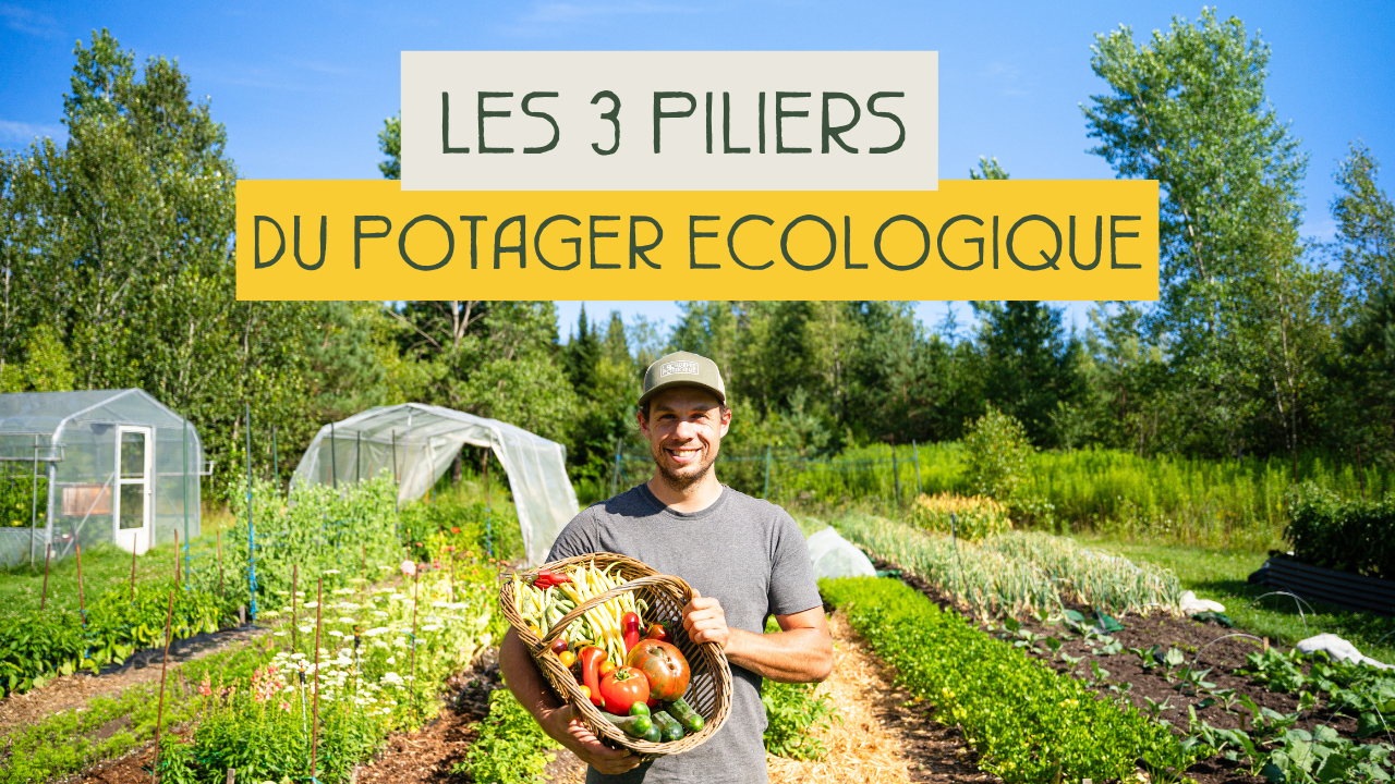 Sitemapcdatahttpsinfbizidplante Potagere 7 Lettres