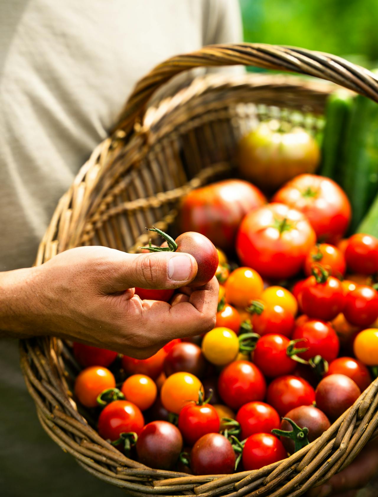 Récoltez plus, en cultivant mieux.