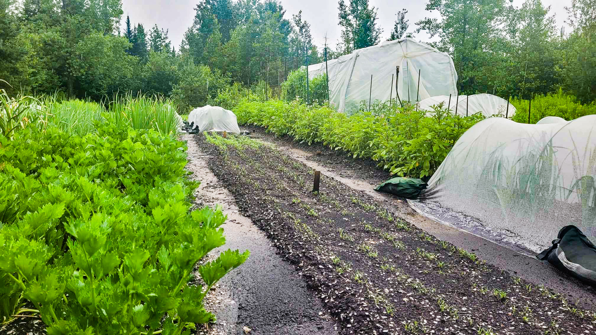 Comment réagir face aux grosses pluies?