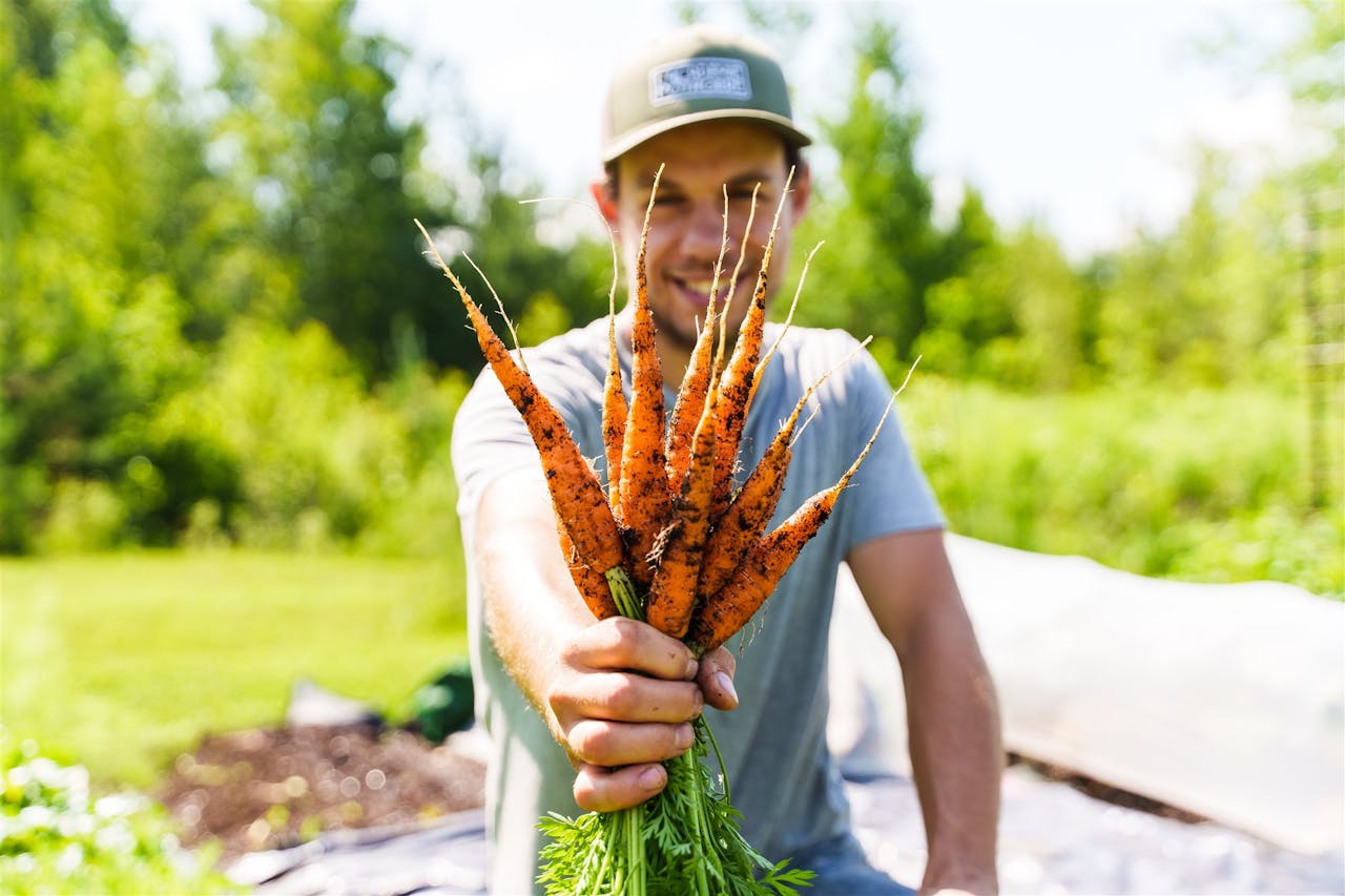 Tout apprendre sur le jardinage