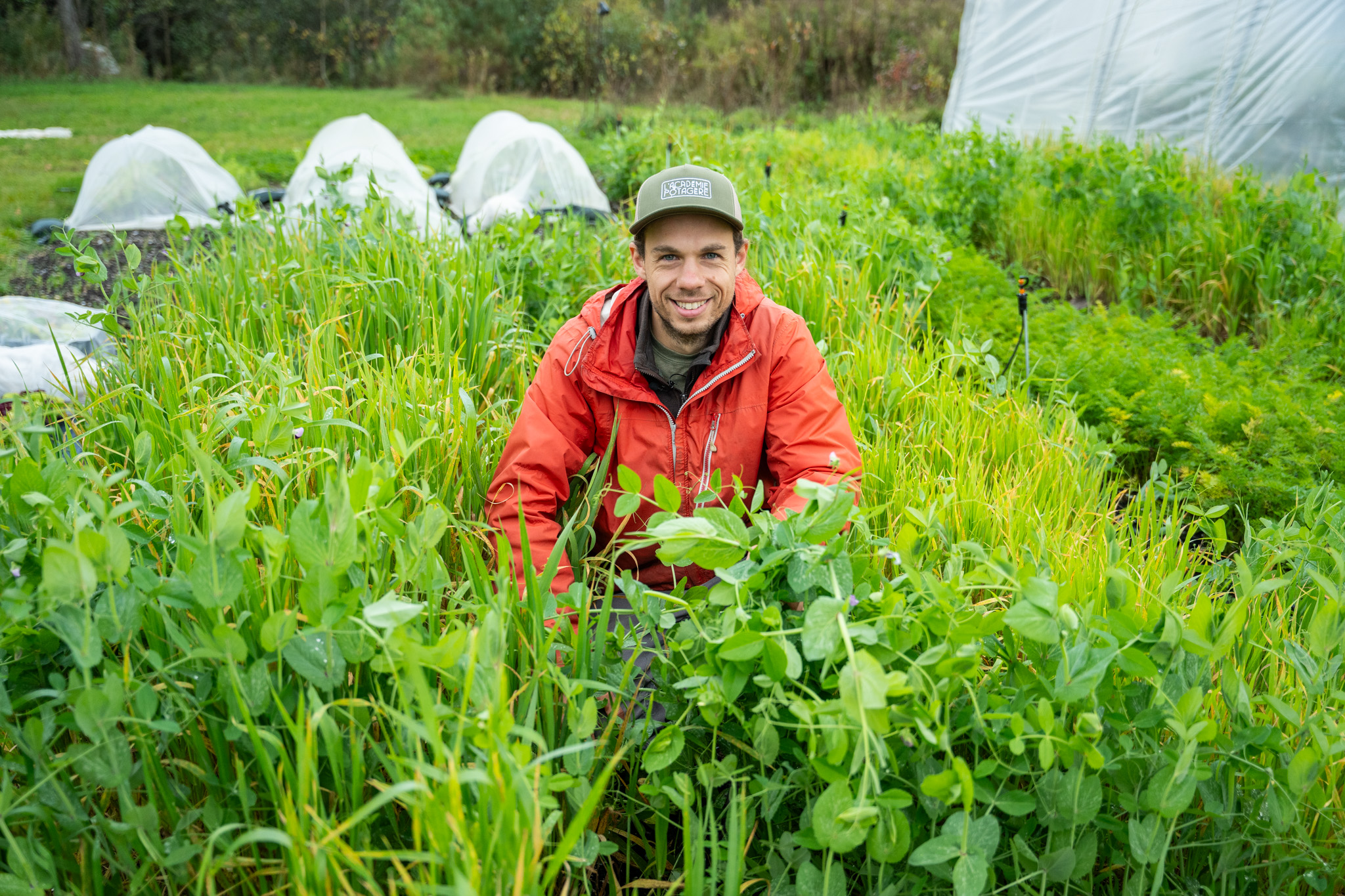 Engrais verts et fin de saison au potager