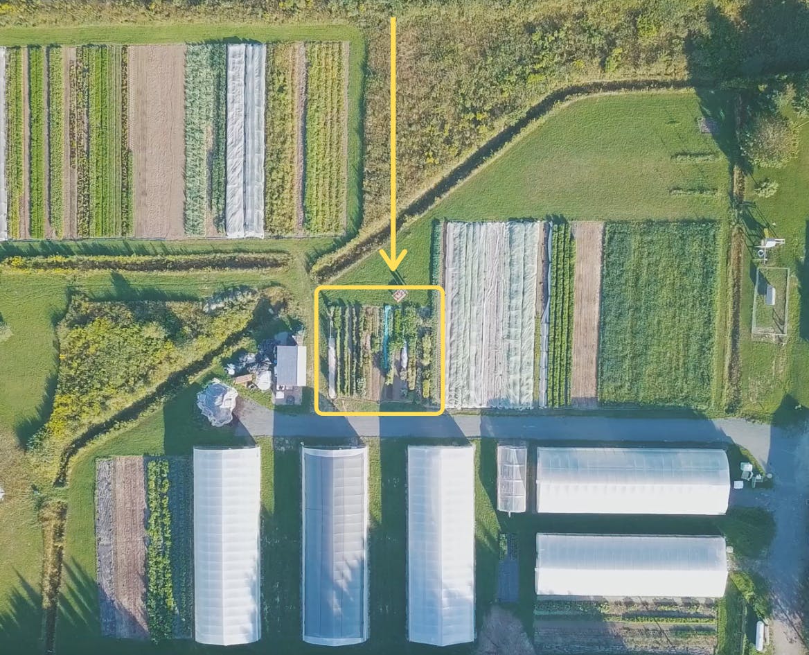 Notre potager vu du ciel