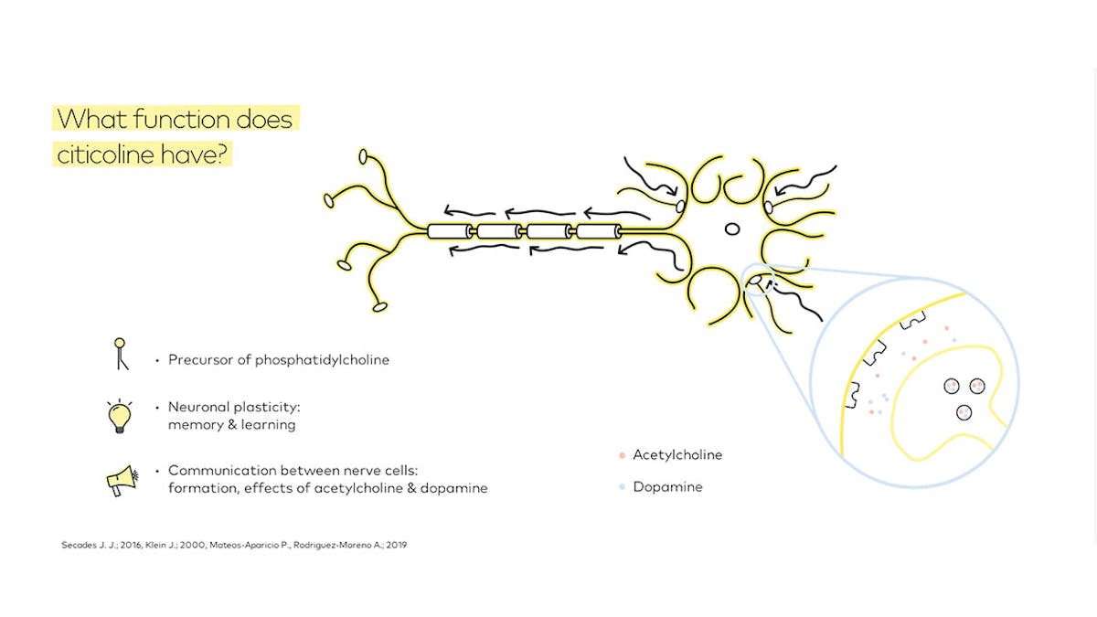 What function does citicoline have?