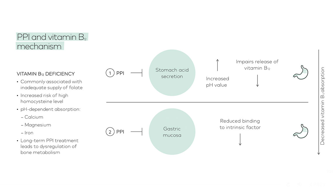 PPI and citamin B12 mechanism