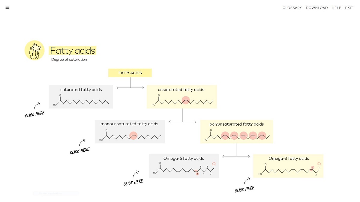 Fatty acids - degree of saturation