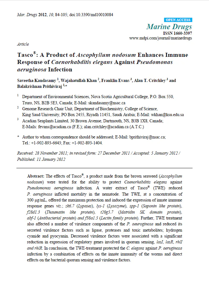 Title page of the paper containing title and authors