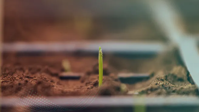 biostimulant seed treatment
