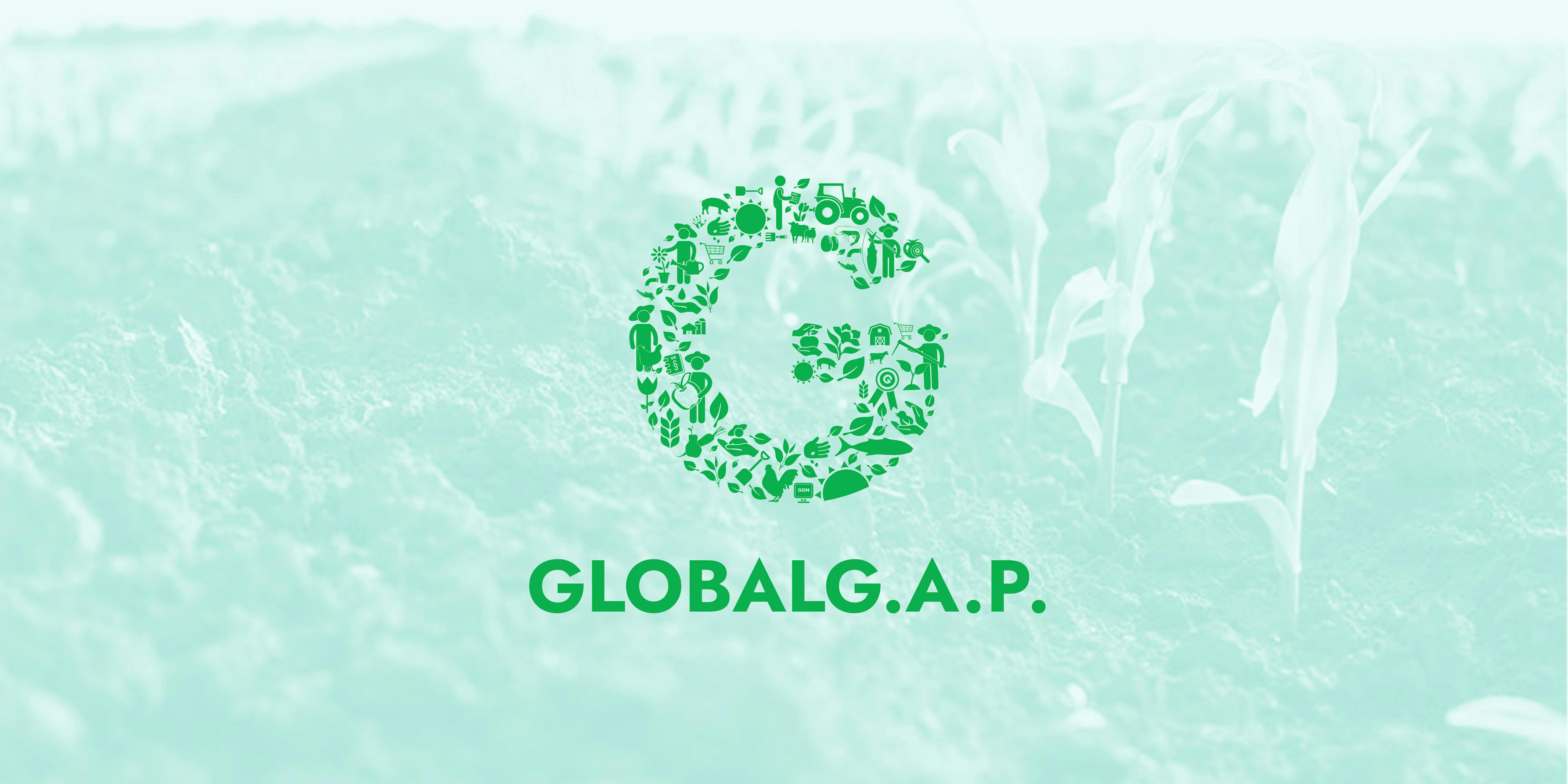 A GLOBALG.A.P. icon over an image of plants growing in a tidy row in soil. The image is filtered to look green.