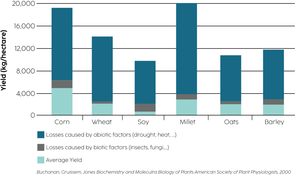 A bar chart showing unfavourable growing conditions contributing to farmers losing between 30-70% of their harvests.