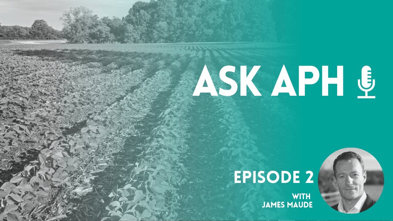 An image of a field with neat dirt rows and no plants yet sprouted, with text overlayed promoting the latest episode of Ask APH.