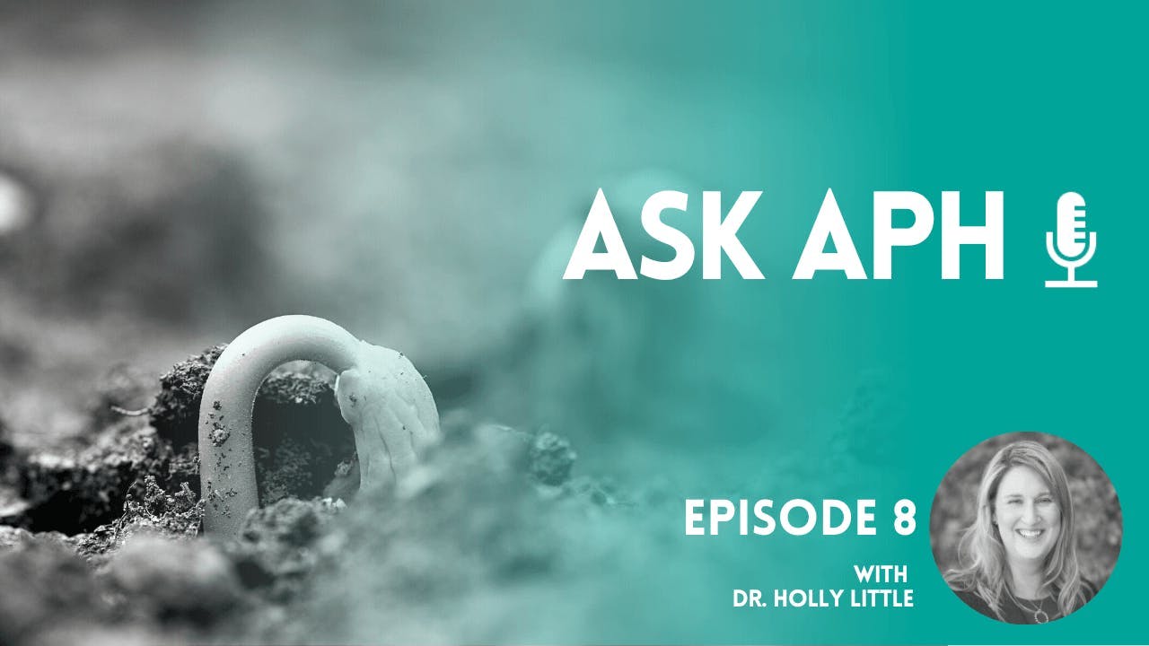 A close up of a small plant about to sprout up through the soil, with text overlayed promoting the latest episode of Ask APH.