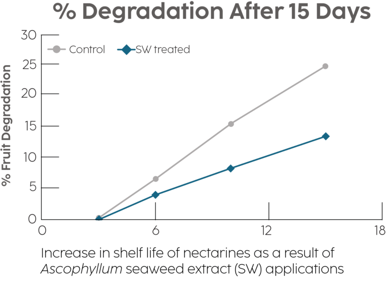 A line graph showing a reduction in food degradation by approximately 10% by day 15.