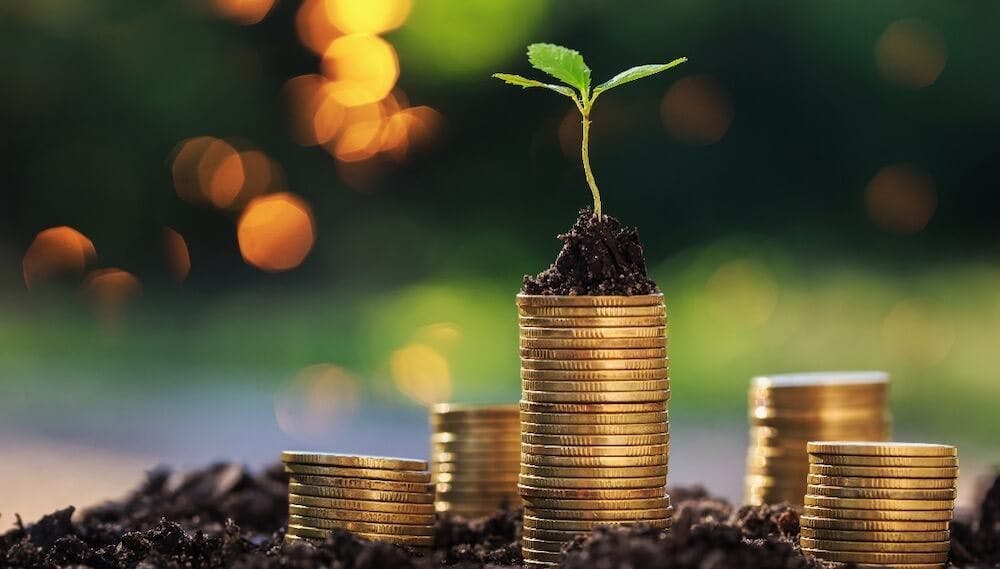Corn crop growing from coins representing expensive fertilizer