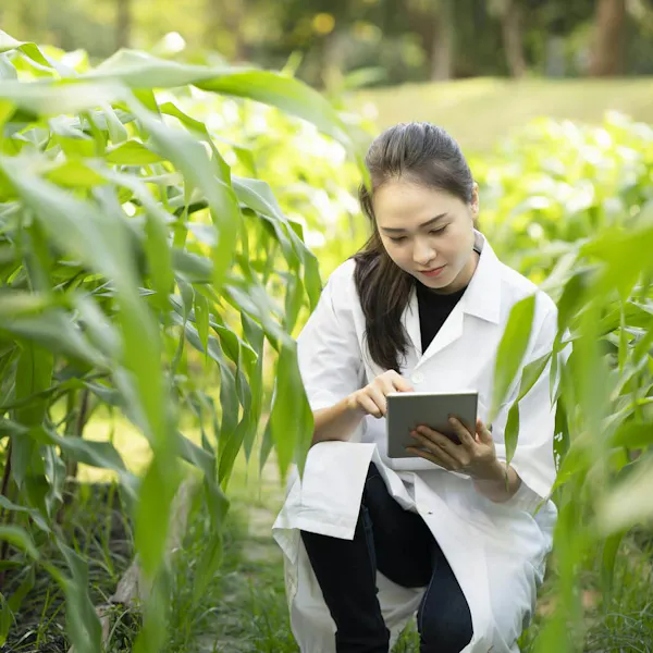 A female scientist in a white coat takes notes while crouched down beside a row of plants in a field