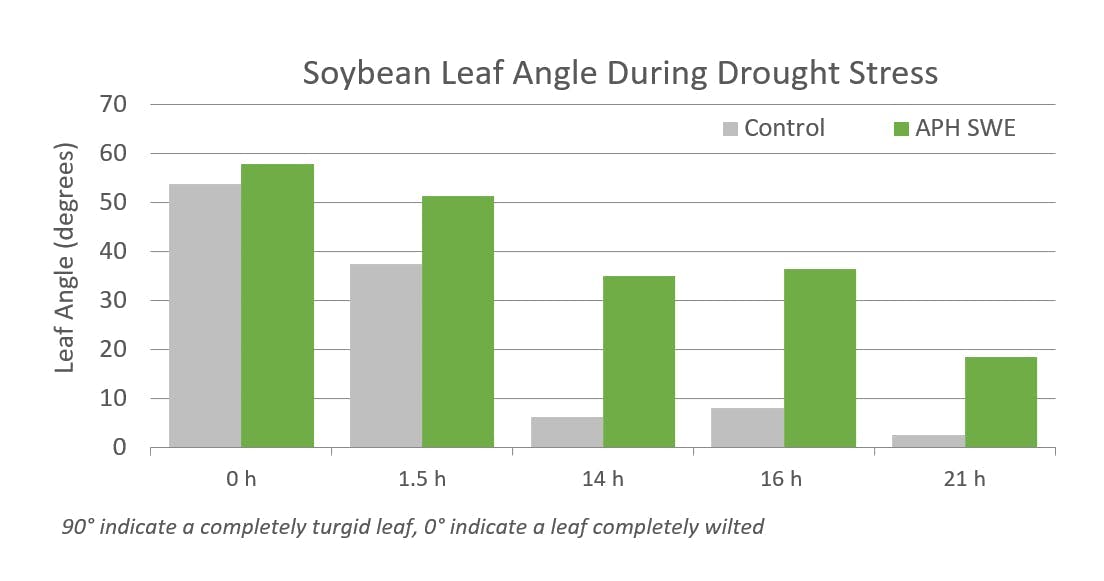 A bar chart of Soybean Leaf Angle During Drought Stress showing control versus APH SWE throughout 0, 1.5, 14, and 21 hours.