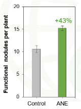 Bar chart showing functional nodules per plant with AME treatment (+43%) higher than the Control group at approximately 15 nodules.