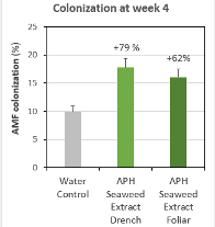 Bar chart titled 'Colonization at Week 4' showing colonization increases of +77% and +100% for two JPM recovery conditions vs. control.