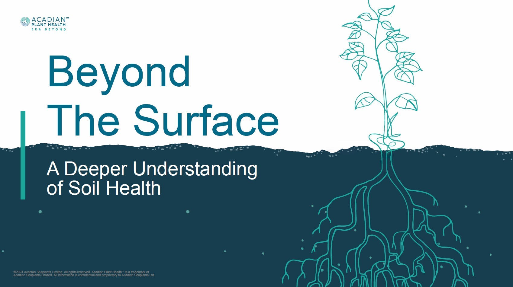 Preview of the Beyond the Surface presentation - a deeper understanding of soil health by Acadian Plant Health.
