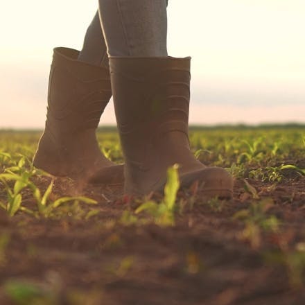Person wearing rubber boots walking through a field