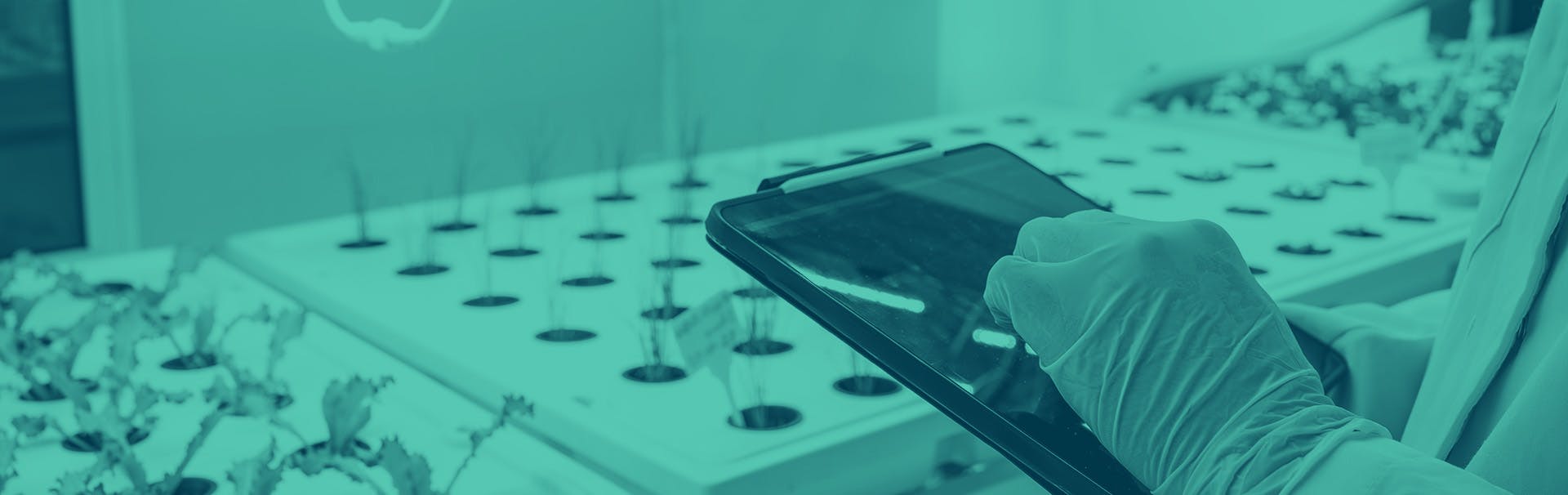 A scientist works on enhancing plants’ resiliency to environmental stressors and overall health in a lab. Plants are shown sprouting up in a test environment, with a scientist reviewing a tablet in the foreground.
