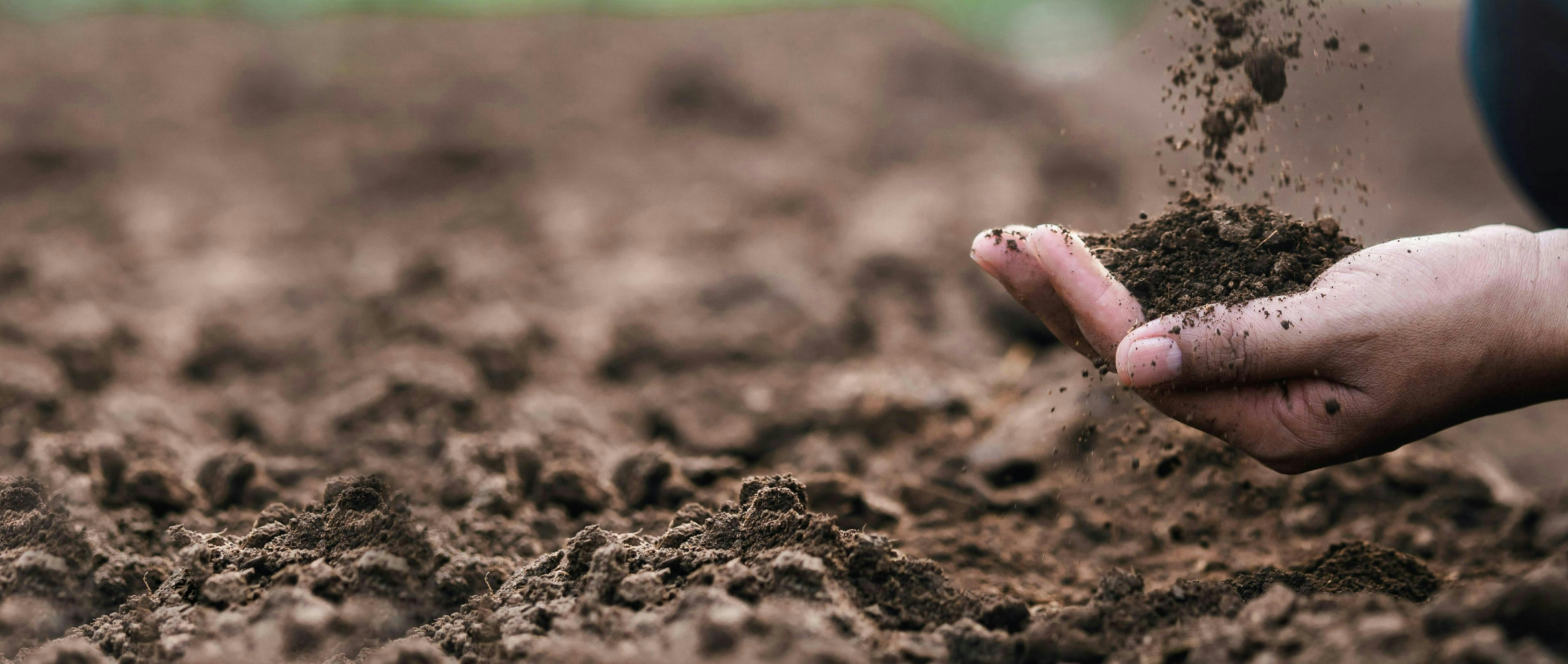 A person's hand cups soil as it falls from above. The hand is hovering over a fertile filed with dark brown soil.