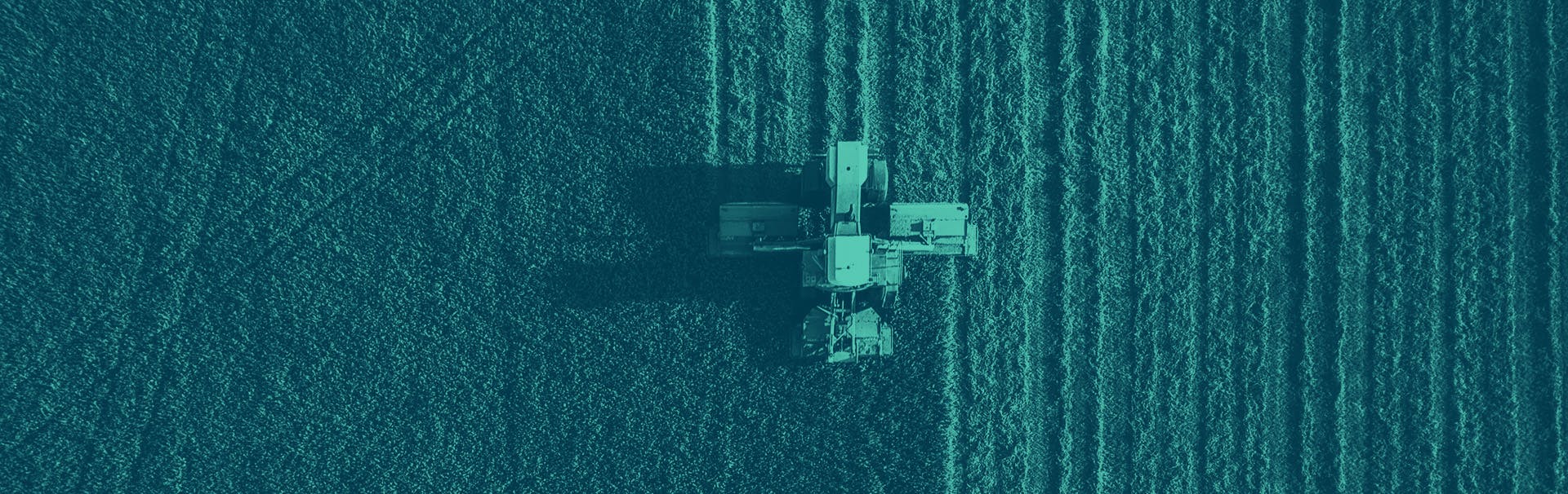 An aerial photo looking down on a tractor in a field, cutting a crop in a neat line.