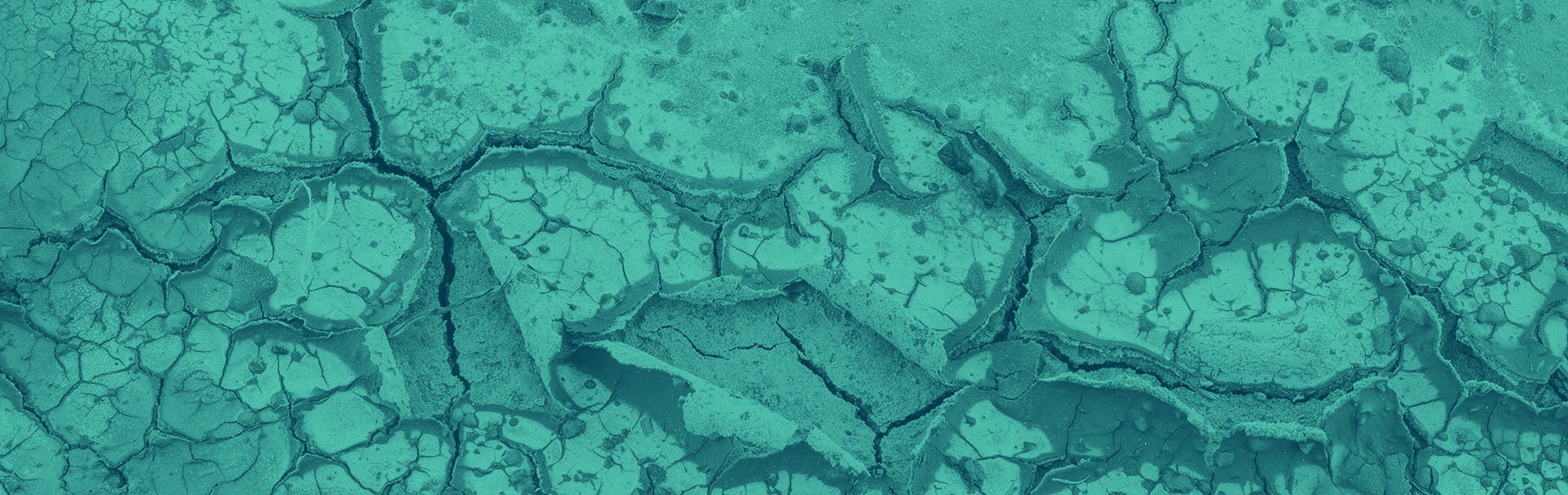 A dirt ground is shown that has been affected by extreme drought. The earth is cracked and dry.