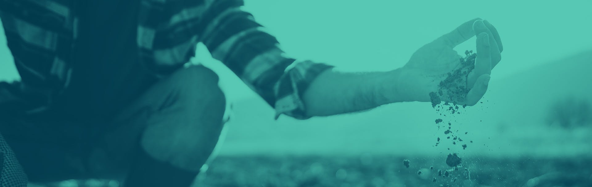 A farmer sifting soil from their open hand over a vast field.