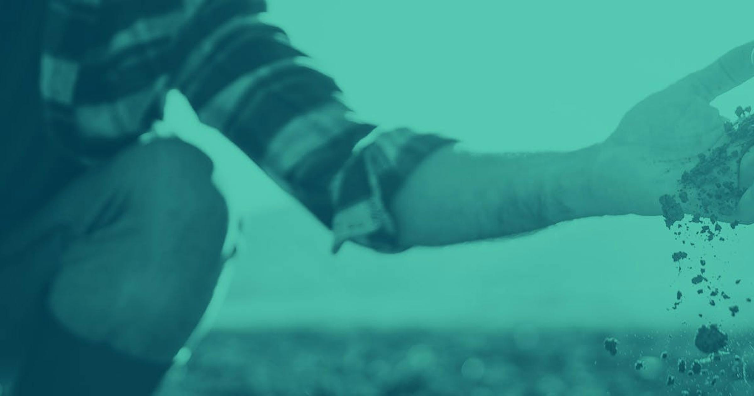 A farmer sifting soil from their open hand over a vast field.
