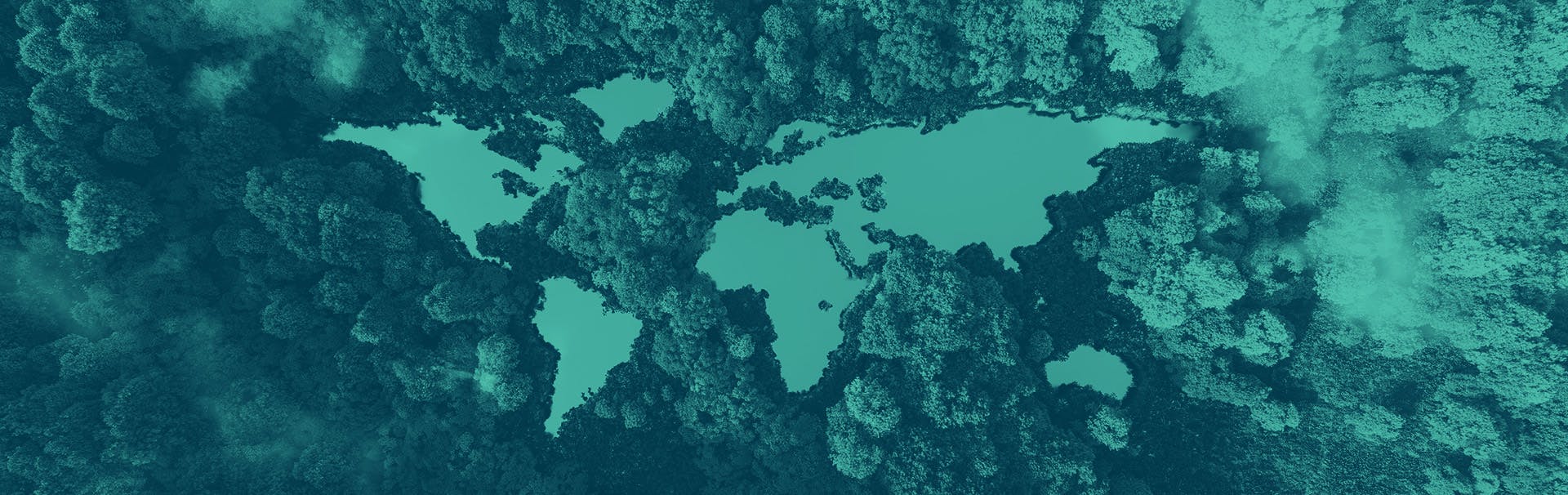 A dense forest is shown from above. There are clearings where water is shown, and the pattern of the water creates the image of all the land masses on Earth.