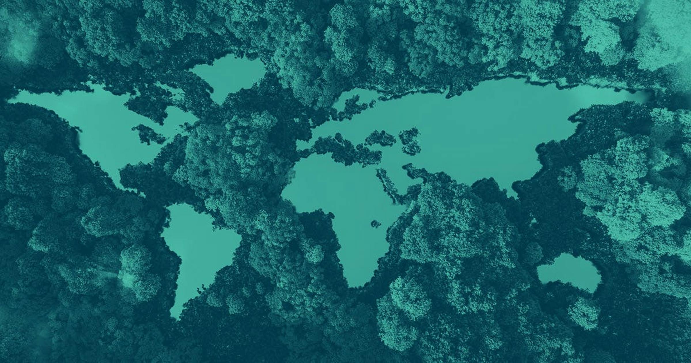 A dense forest is shown from above. There are clearings where water is shown, and the pattern of the water creates the image of all the land masses on Earth.