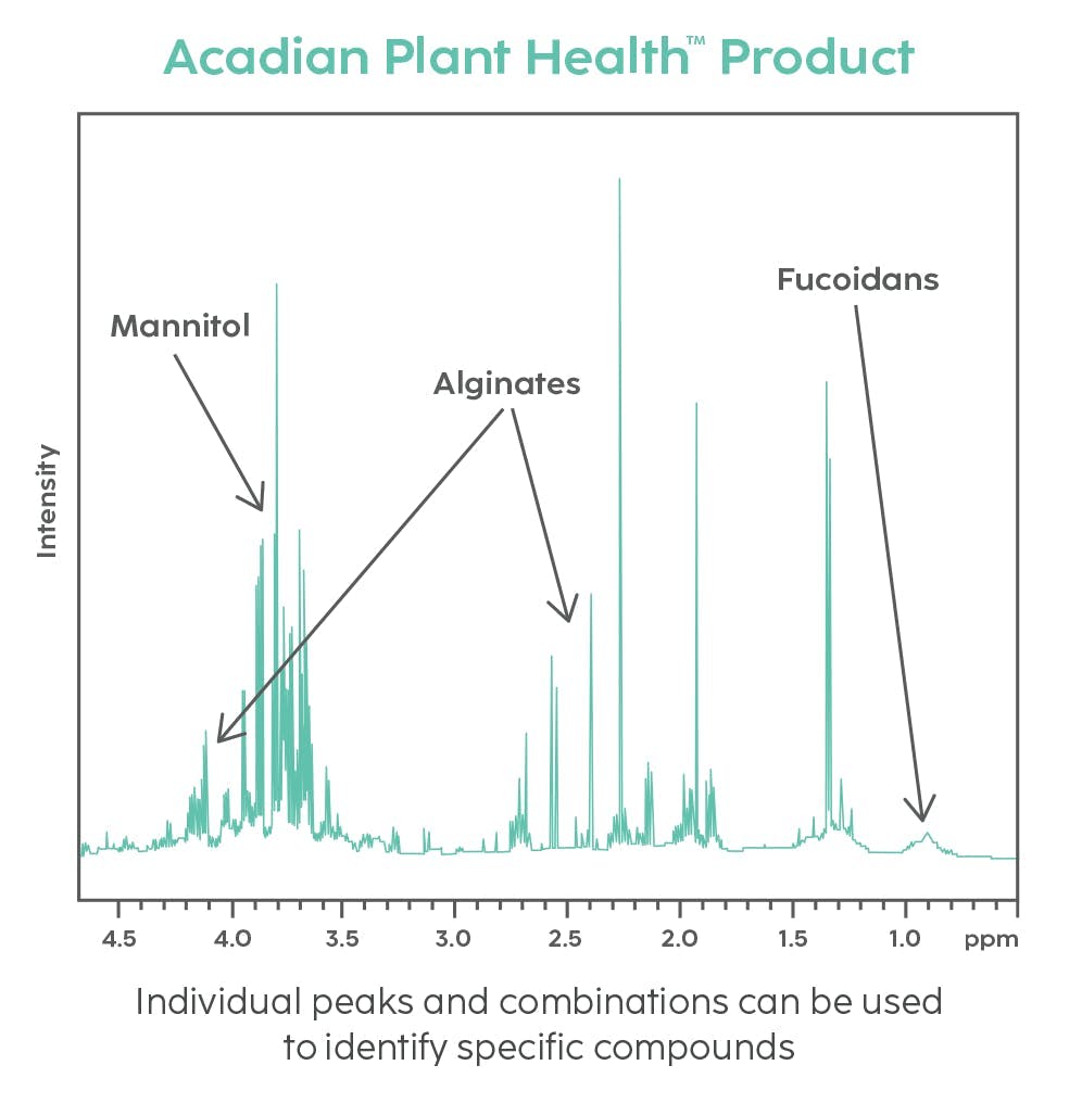 A graph showing the effect of Ascophyllum nodosum on plants experiencing heat stress.