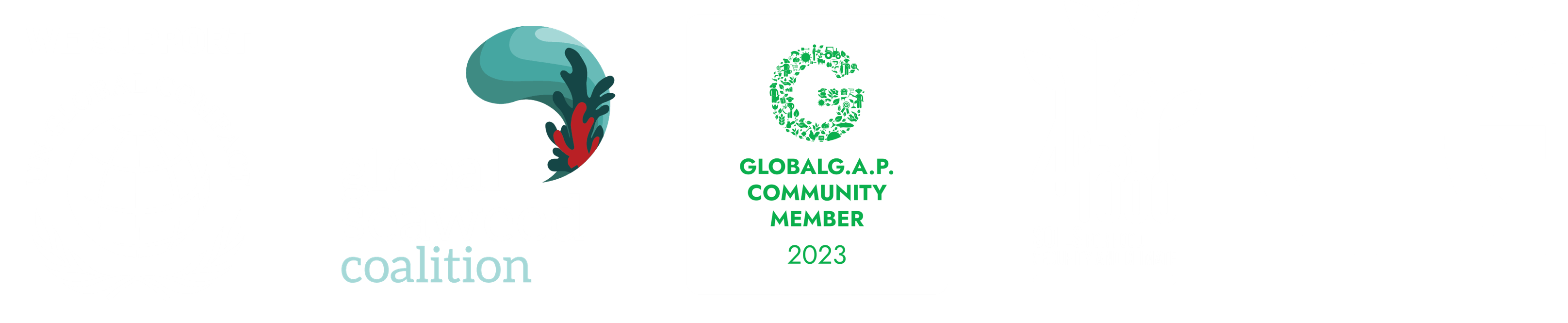 A grouping of small logos representing UN Global Compact, Global Seaweed Coalition, and more.