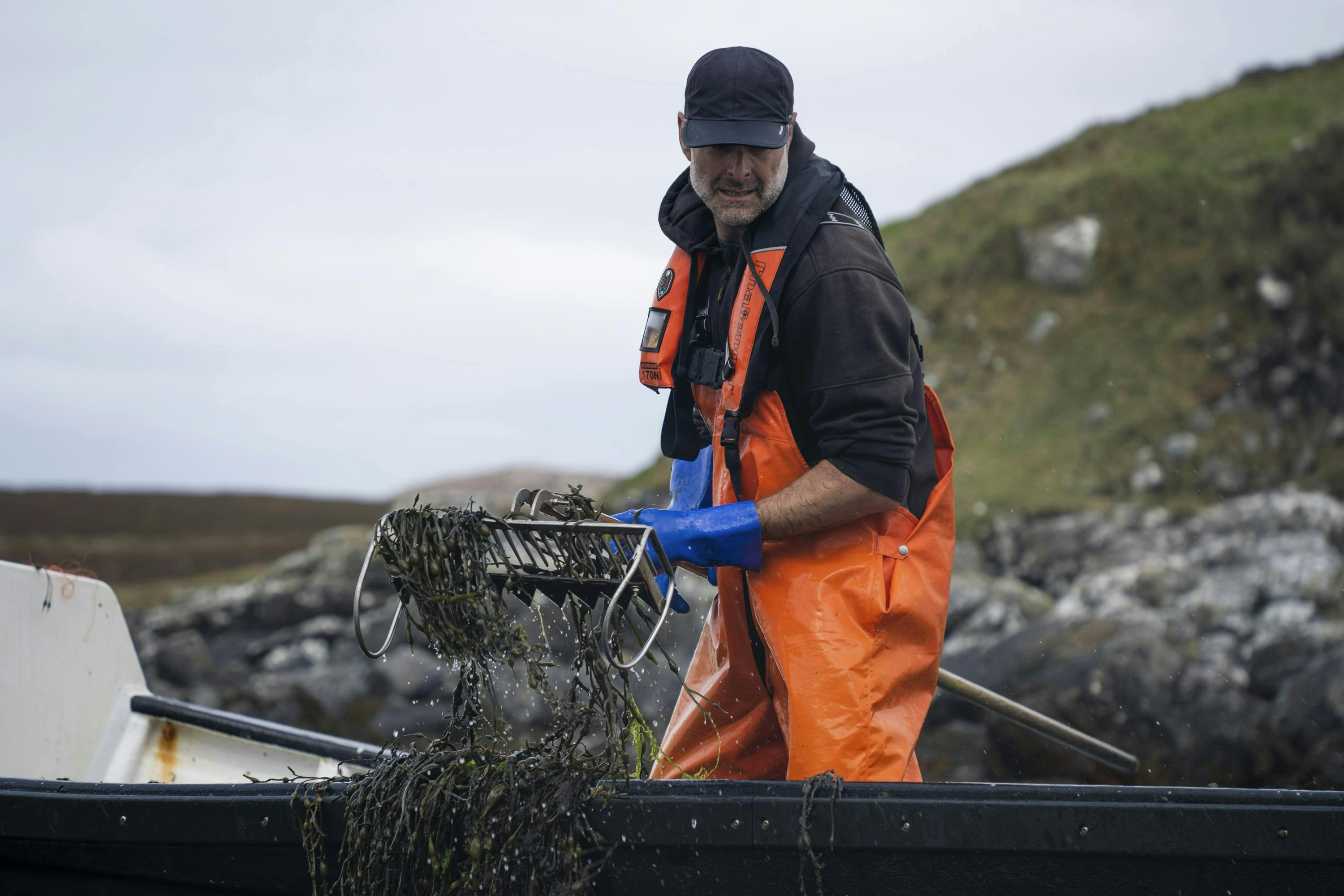 A man in orange overalls is in a small boat close to the seashore. He has a rake and is picking up seaweed from the water.