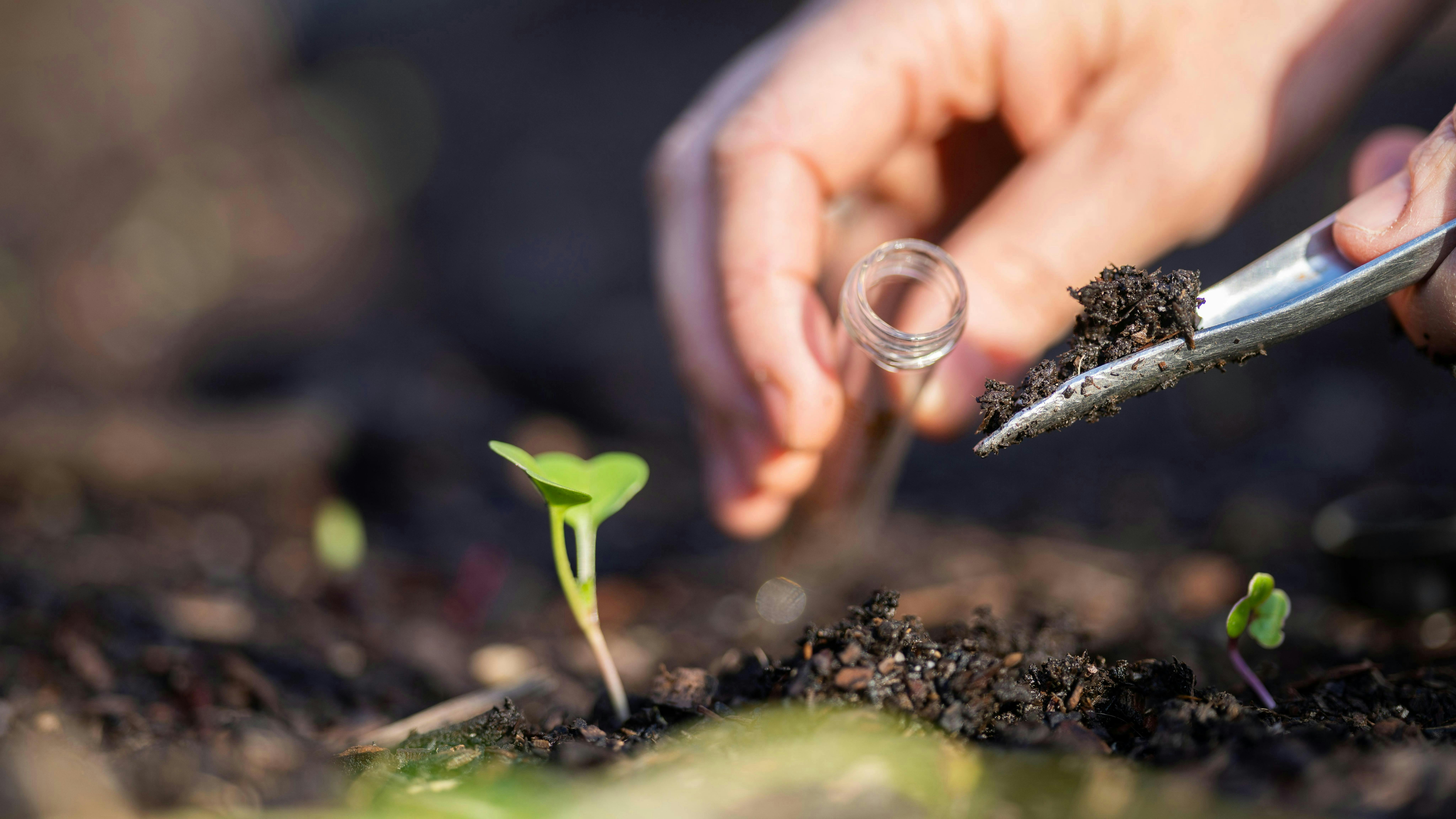 A hand holding a clear beaker tube shovels a small amount of soil. Nearby there is a small plant sprouting up from the ground.