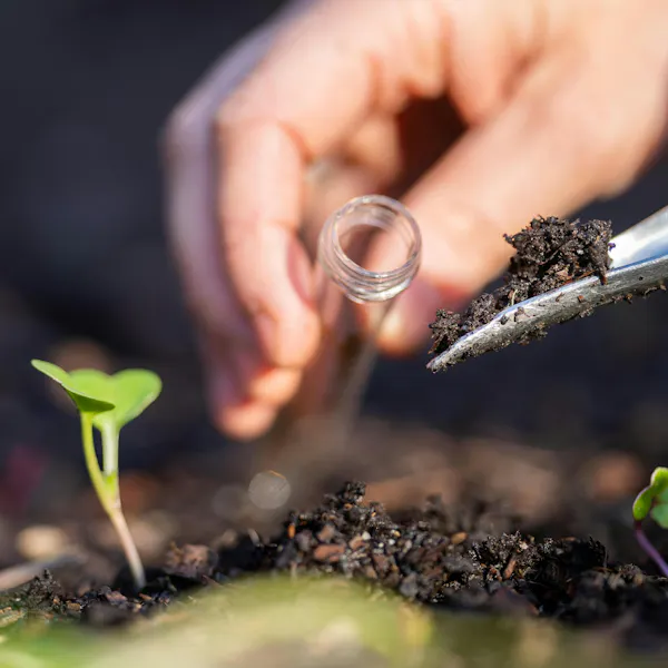 A hand holding a clear beaker tube shovels a small amount of soil. Nearby there is a small plant sprouting up from the ground.