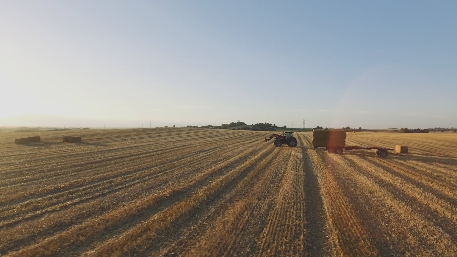 Crop field