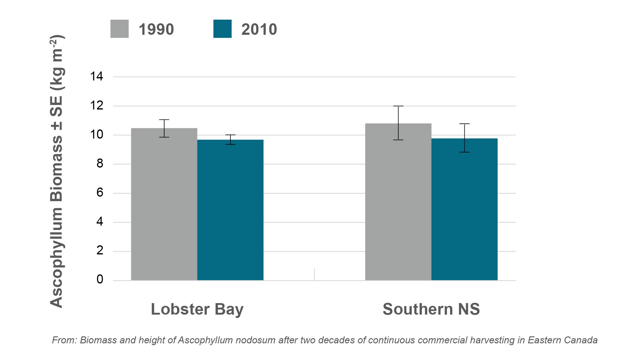 A bar chart showing the recent market growth in Lobster Bay versus Southern Nova Scotia