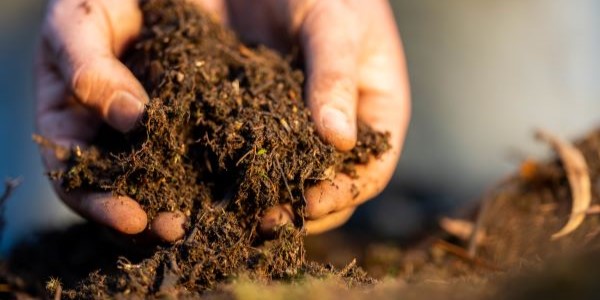 farmers hands examining soil