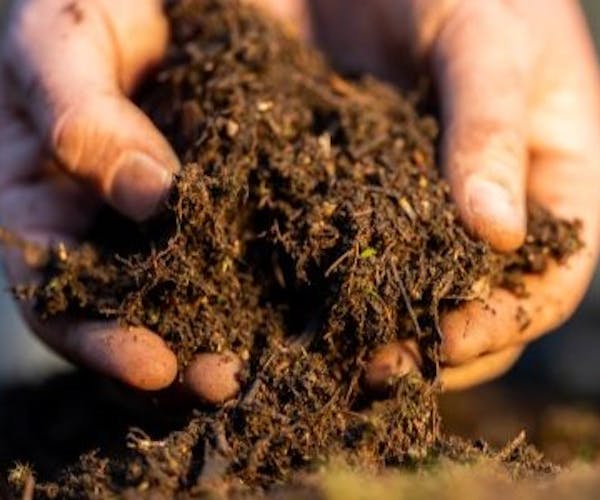farmers hands examining soil