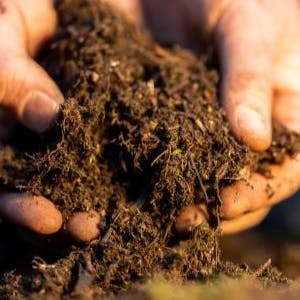 farmers hands examining soil