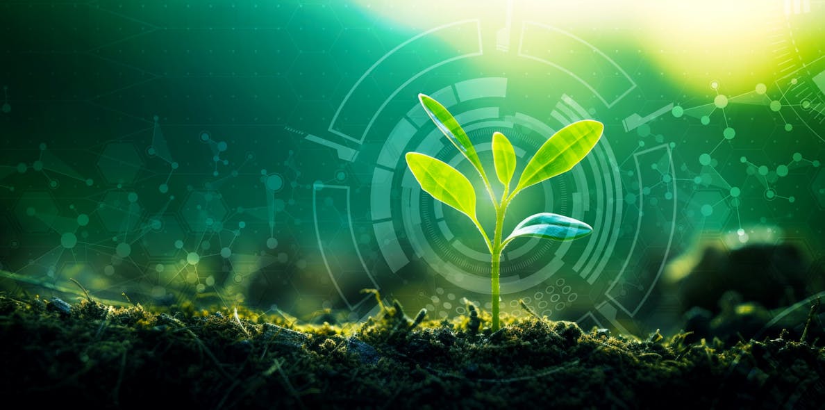 young sprout surrounded by technology imagery showing innovation in the field