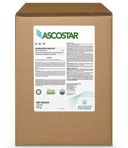A product box with an AscoStar label.